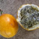 Granadilla